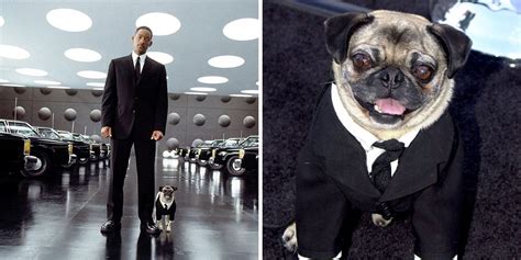 alien guy from men in black|Frank the Pug .